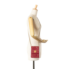 Studded Lambskin Vertical Diorama Bag