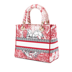 DiorAmour Medium Embroidered Canvas Royale Lady D Lite