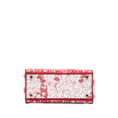 DiorAmour Medium Embroidered Canvas Royale Lady D Lite