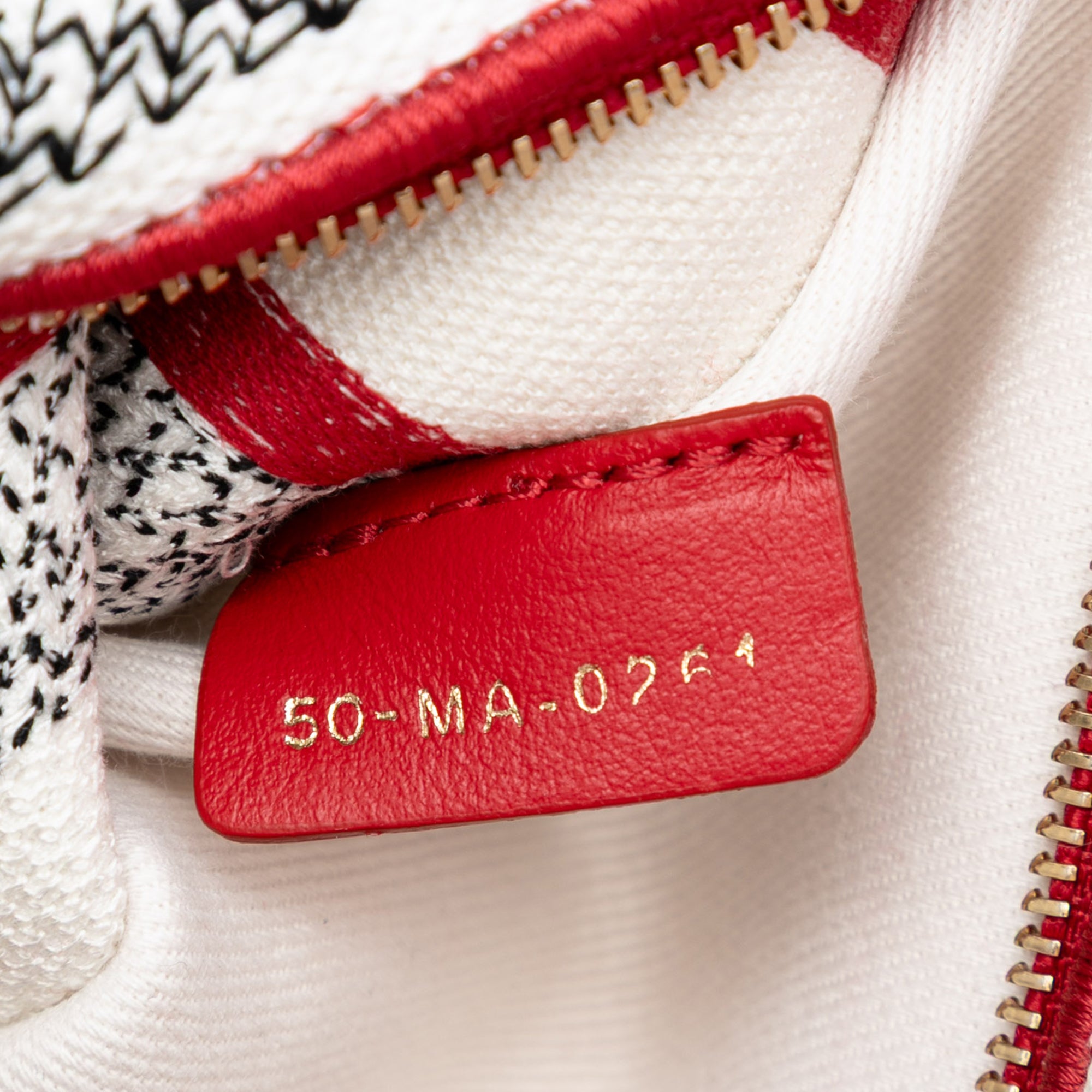 DiorAmour Medium Embroidered Canvas Royale Lady D Lite