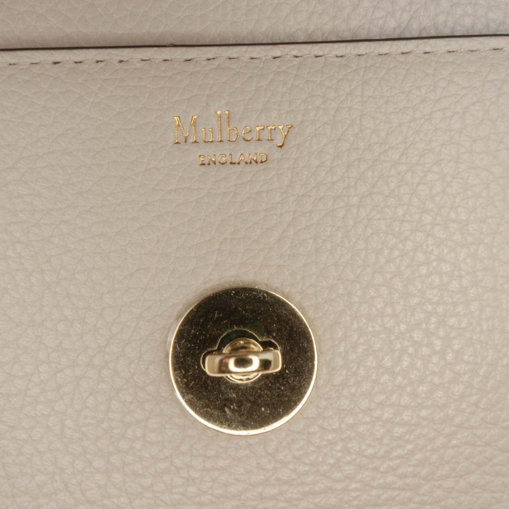 Small Grained Calfskin Darley Crossbody