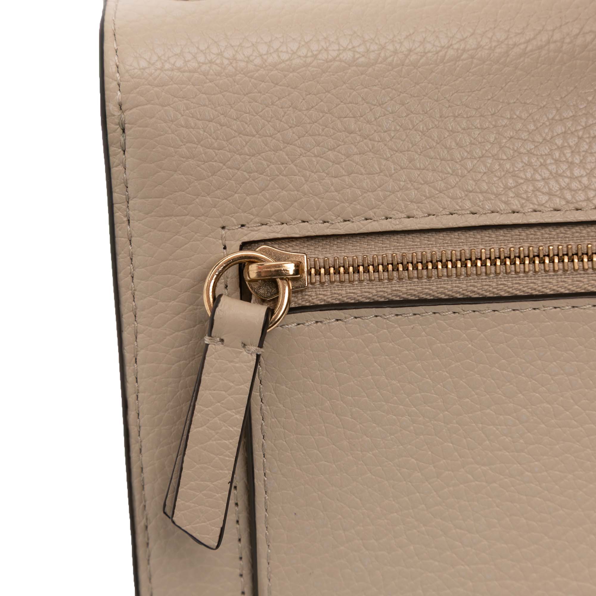 Small Grained Calfskin Darley Crossbody