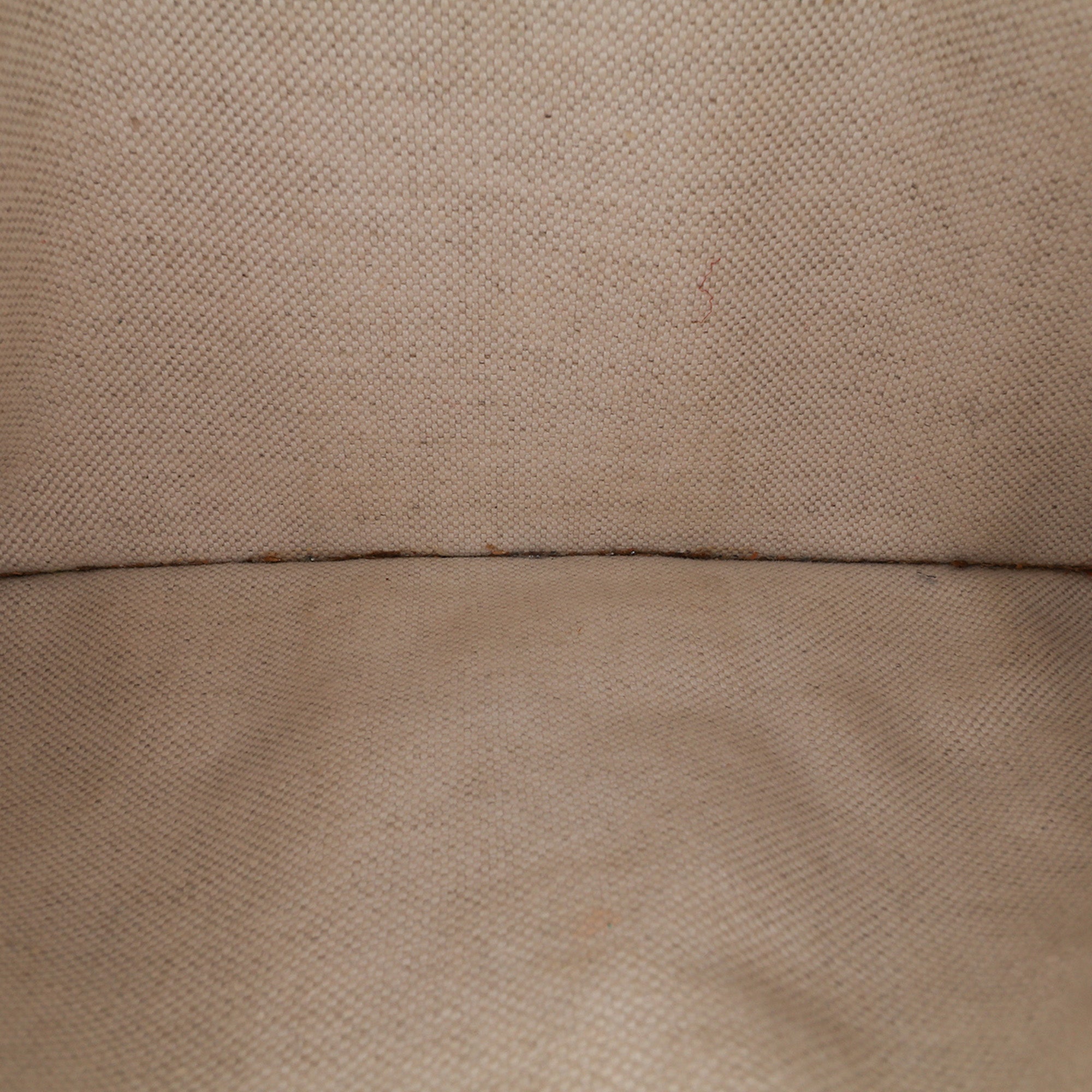 GG Supreme Ophidia Belt Bag