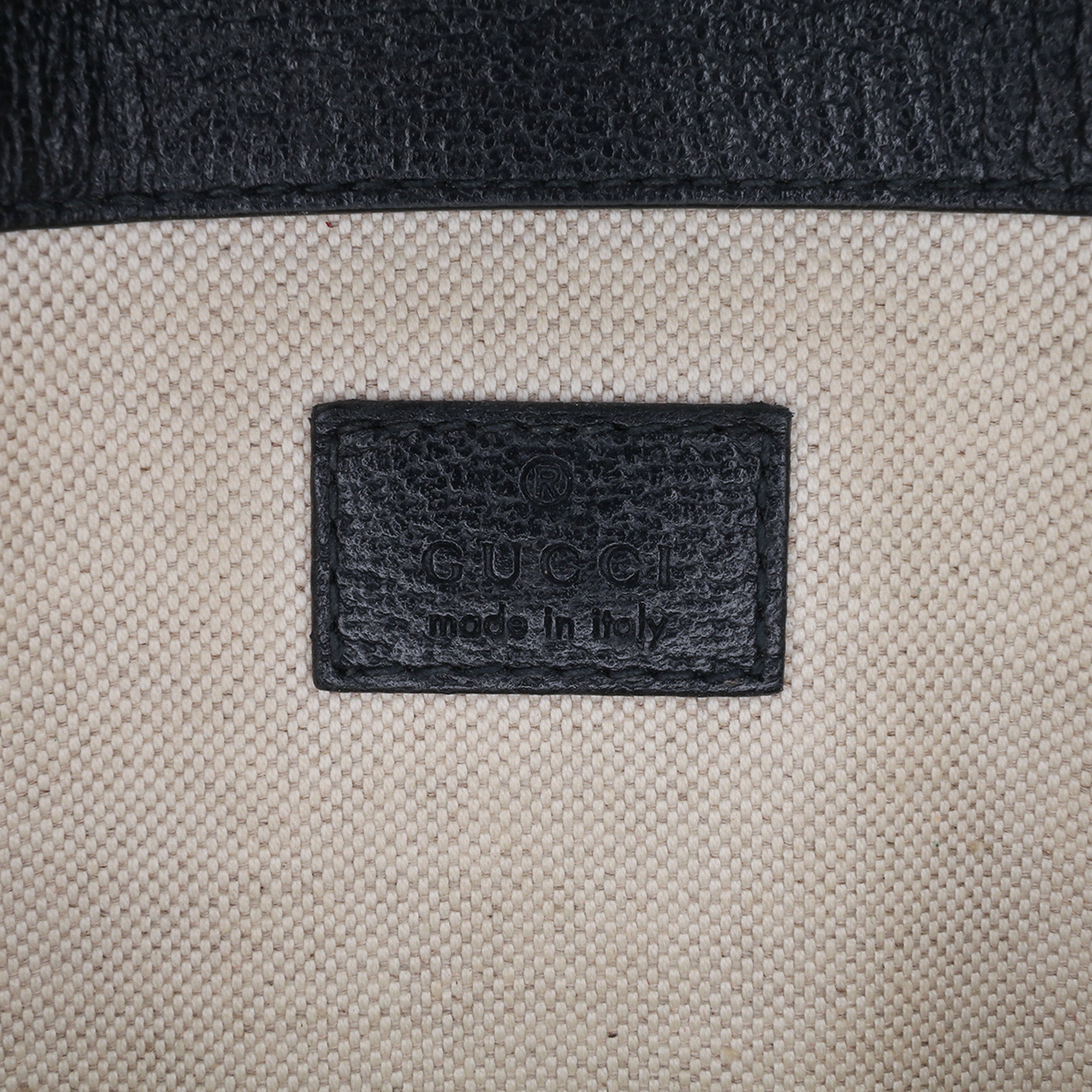 GG Supreme Ophidia Belt Bag