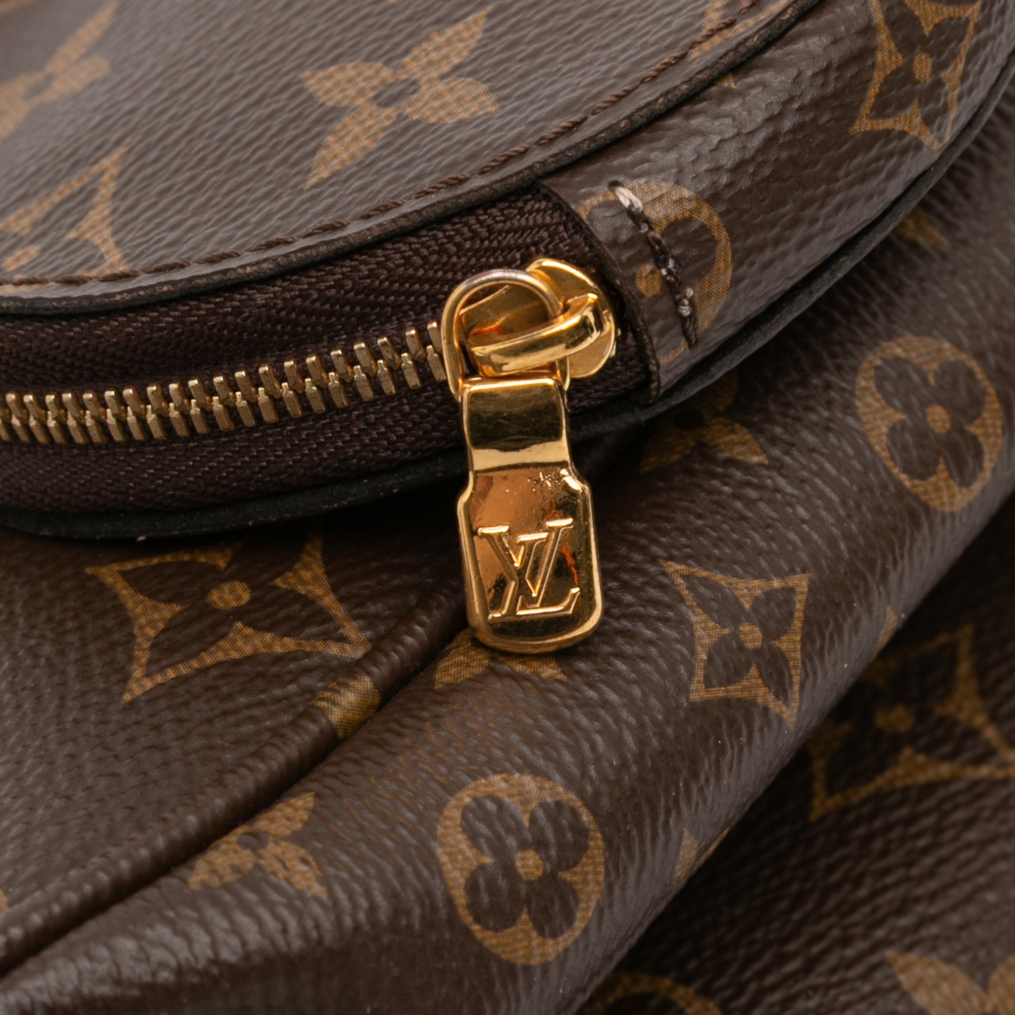 Monogram Multi Pochette Accessoires