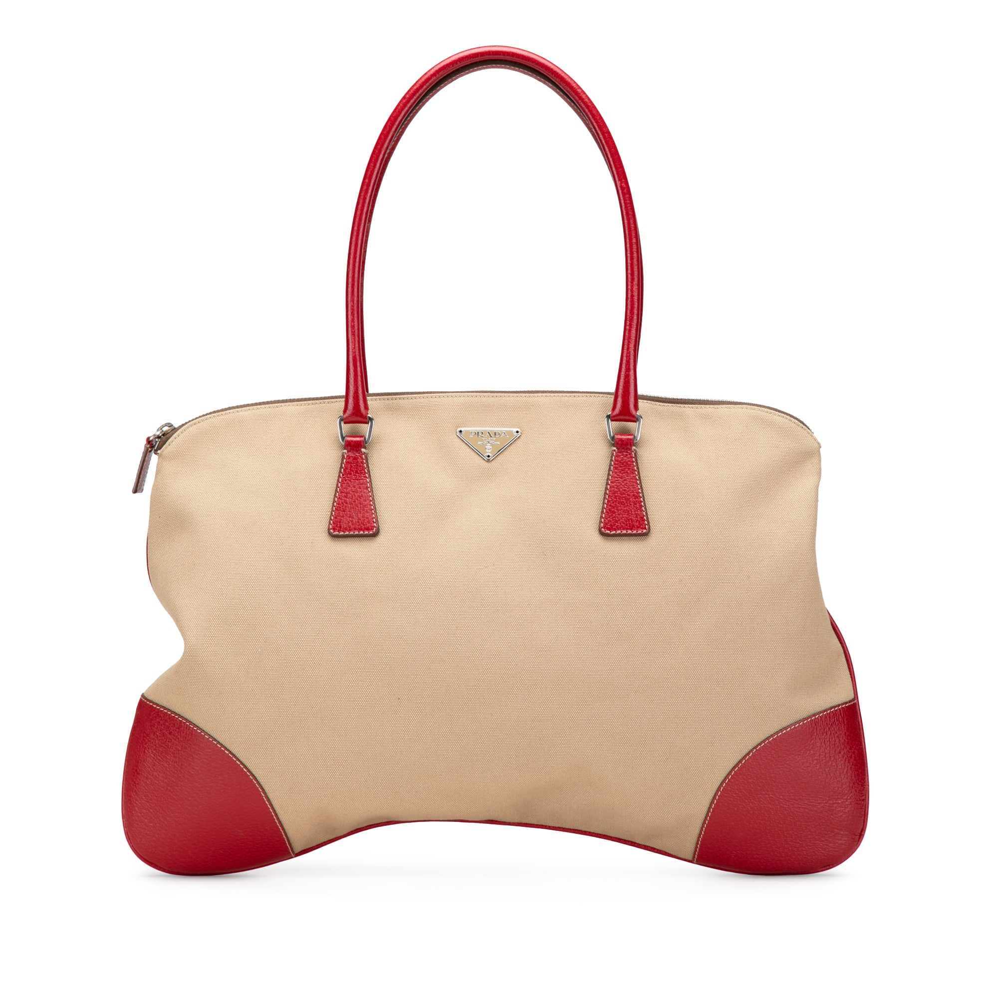 Cinghiale Trimmed Canvas Canapa Tote