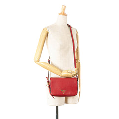 Vitello Phenix Flap Crossbody