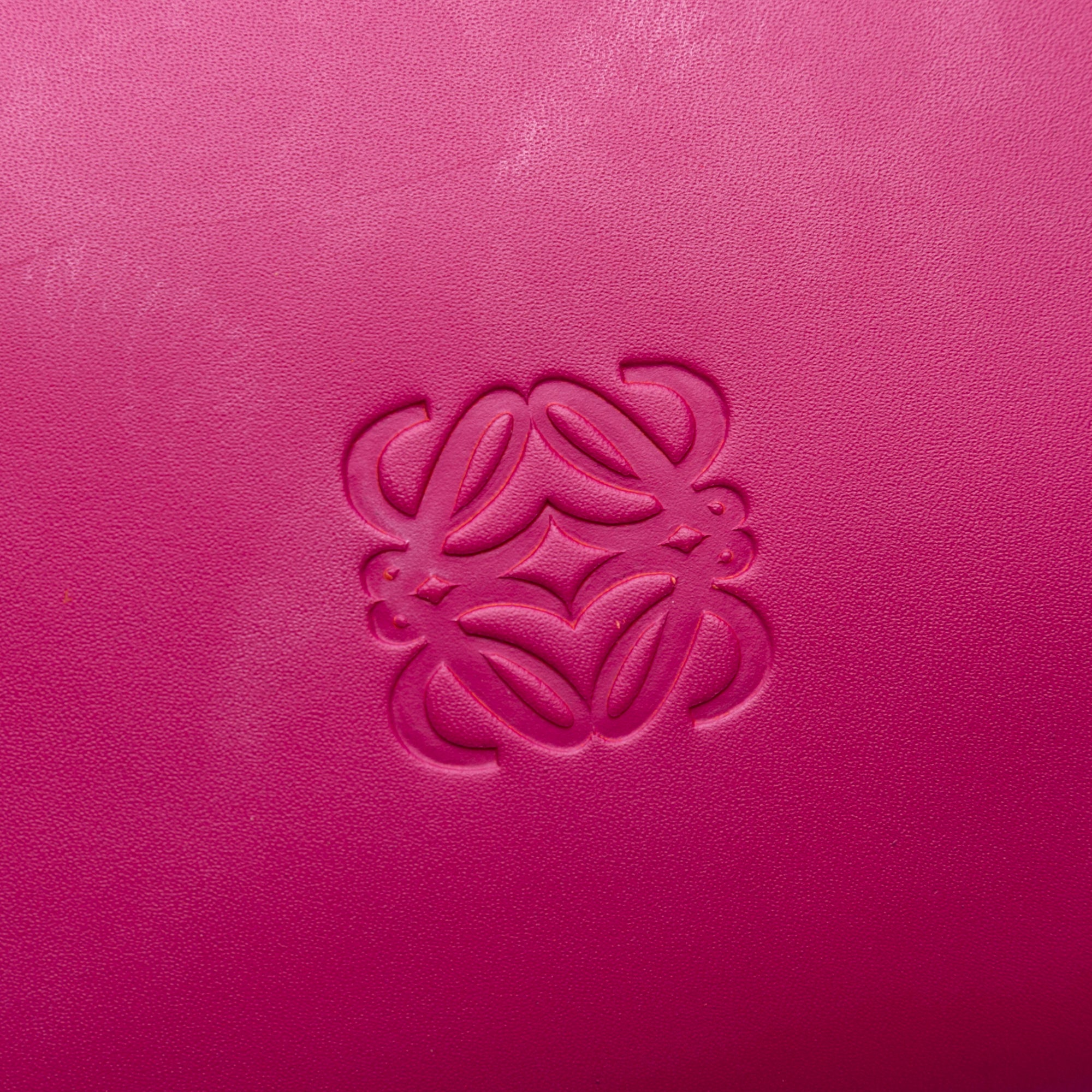Leather Leo Tote