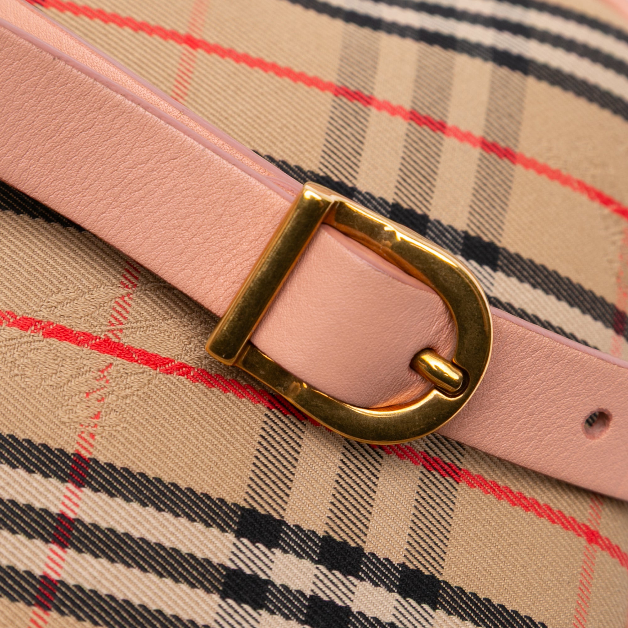 1983 Knight Check Canvas and Calfskin Link Camera Bag