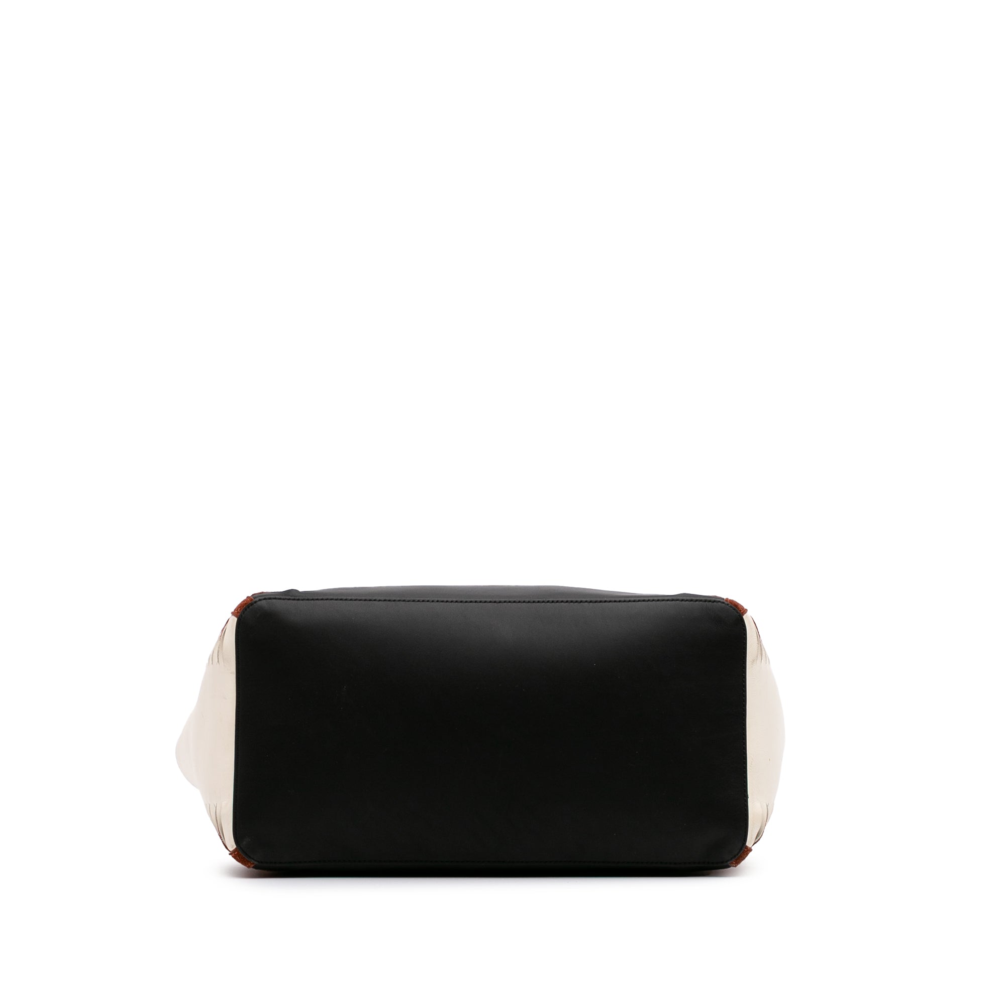 Tricolor Leather Louela Tote