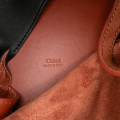 Tricolor Leather Louela Tote