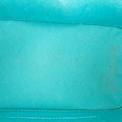 Monogram Vernis Alma BB