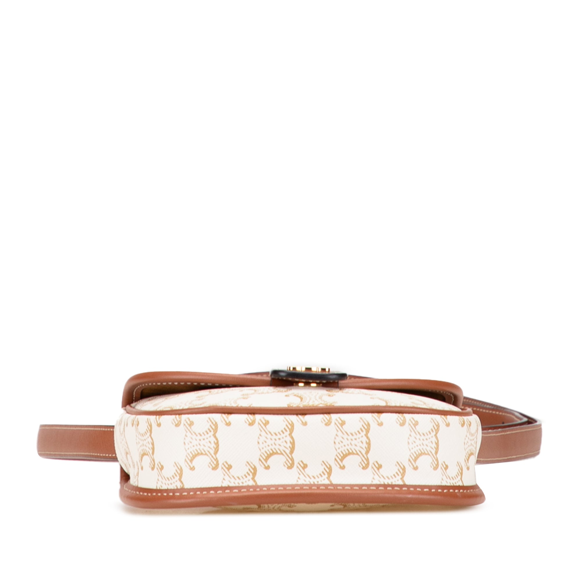 Mini Triomphe Coated Canvas Besace Crossbody