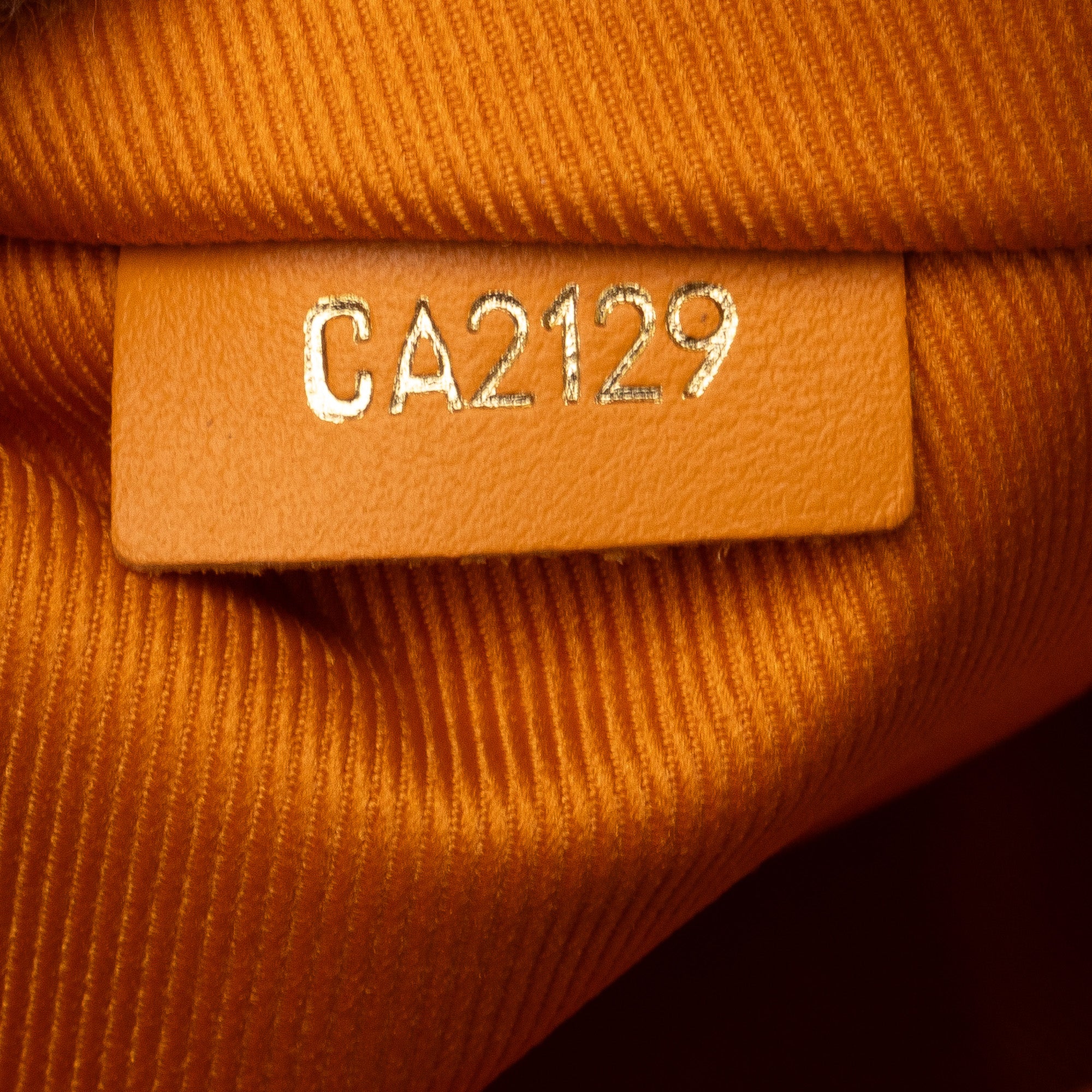 Monogram Antartica Double Flat Messenger