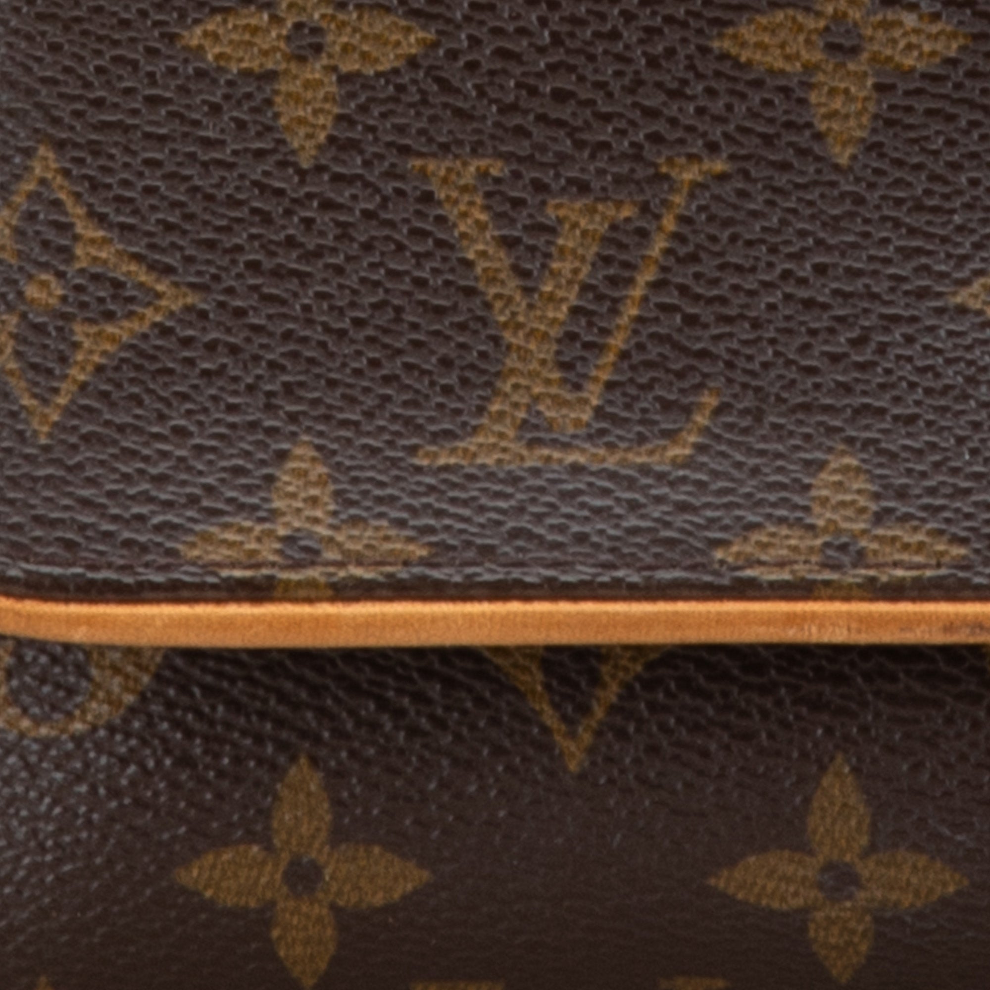 Monogram Pochette Twin PM