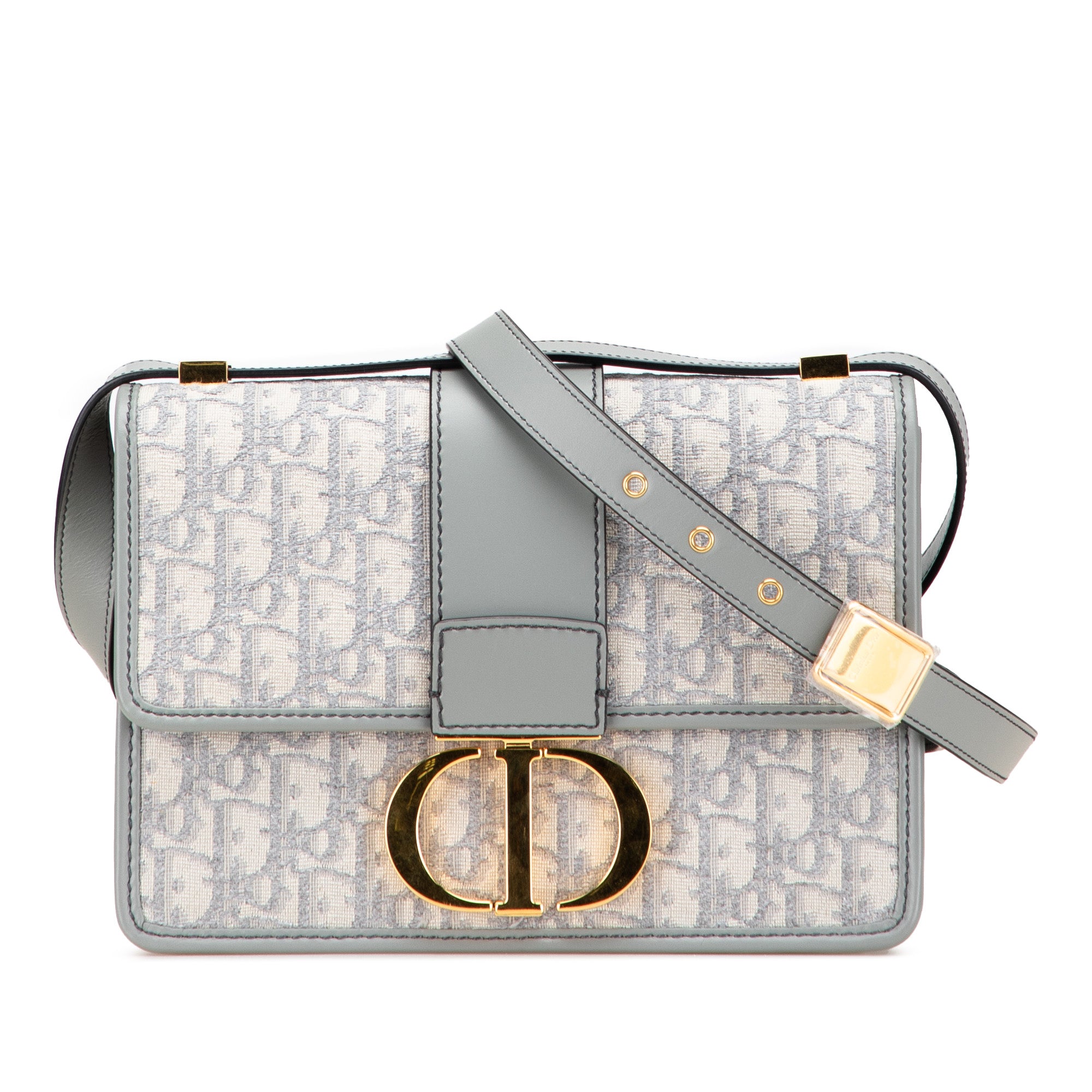 Medium Oblique Canvas 30 Montaigne Bag