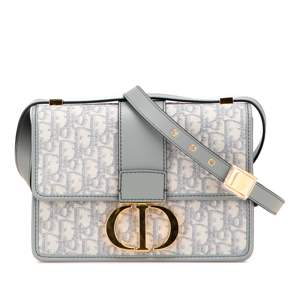Medium Oblique Canvas 30 Montaigne Bag