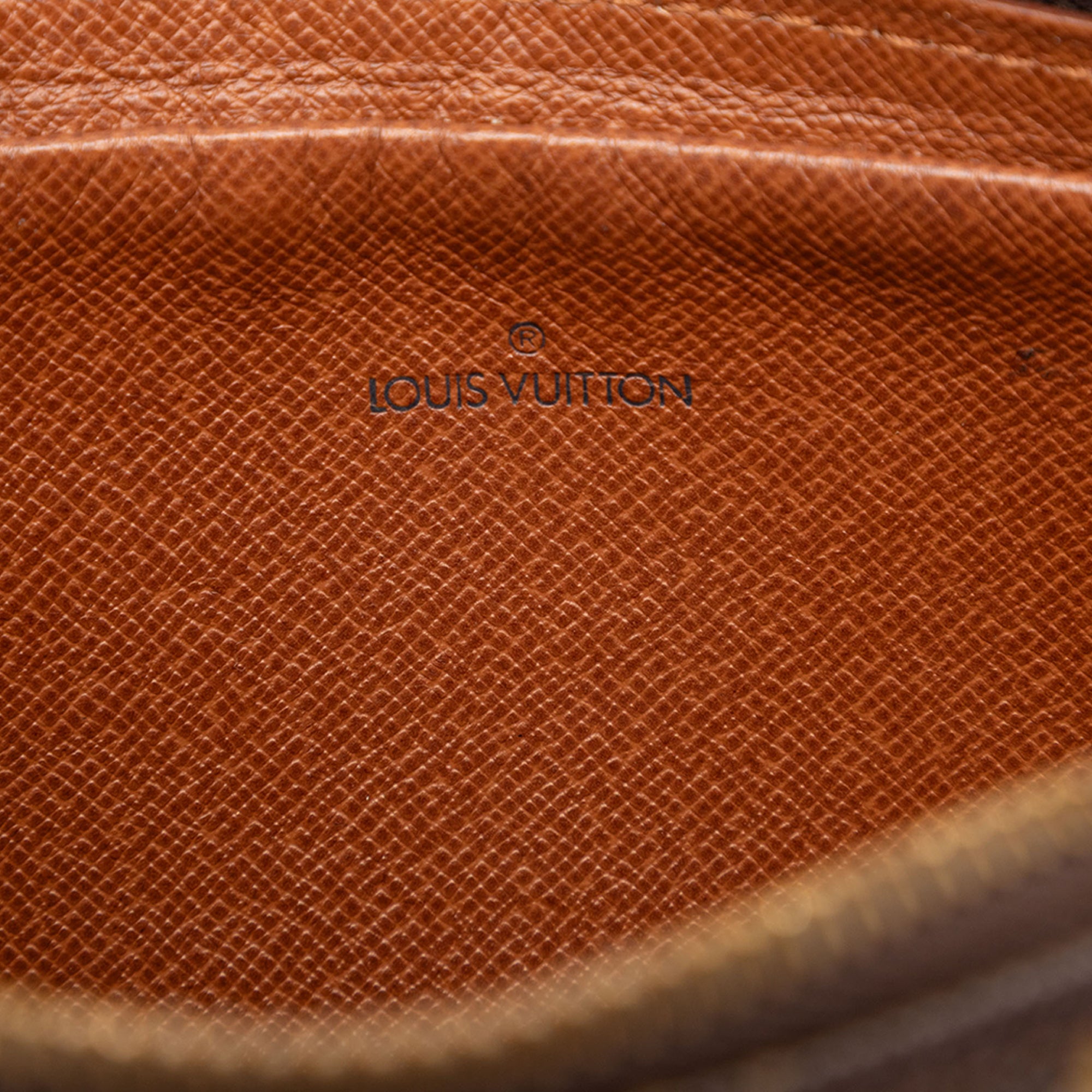 Monogram Marly Dragonne PM