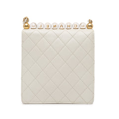 Small Lambskin Chic Pearls Flap_2