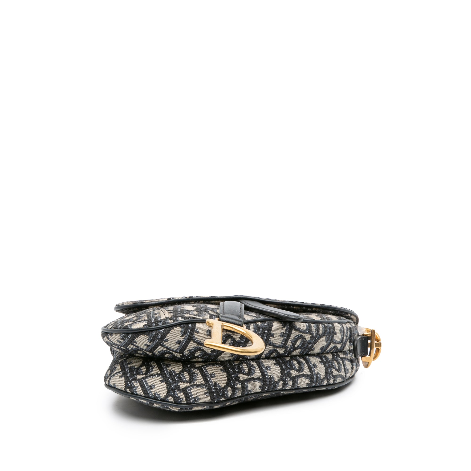 Mini Oblique Canvas Saddle Bag