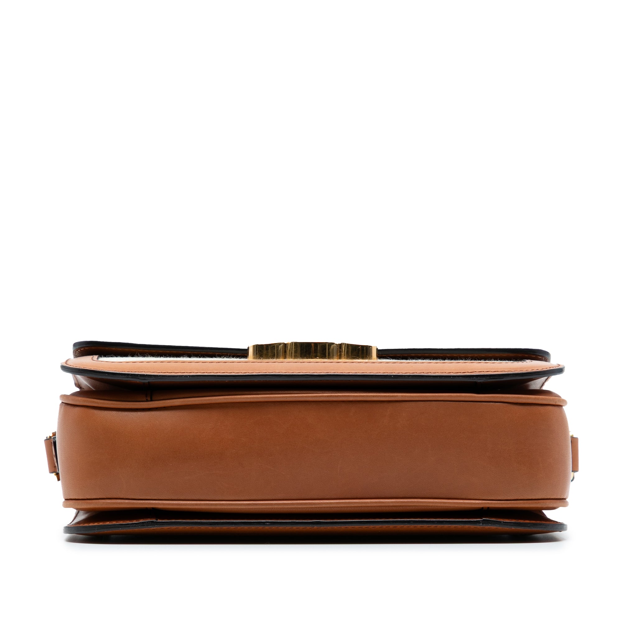 Classique Canvas and Calfskin Triomphe Crossbody