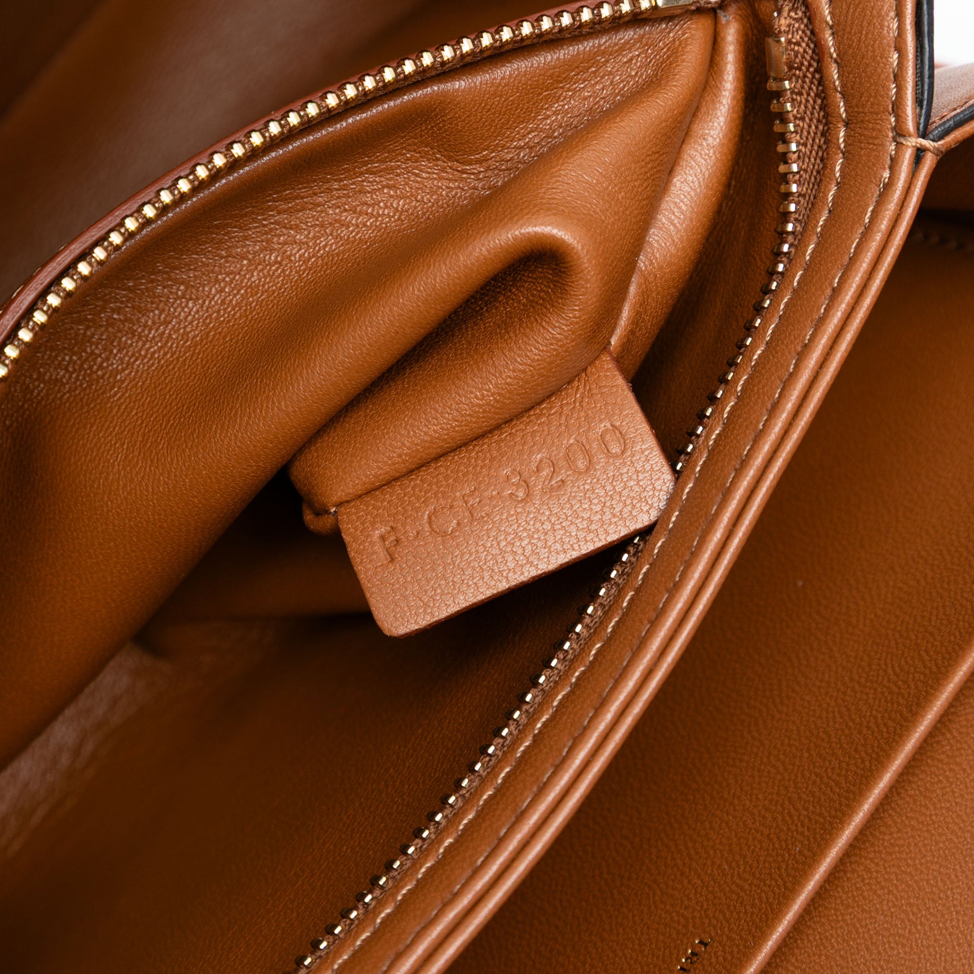 Classique Canvas and Calfskin Triomphe Crossbody