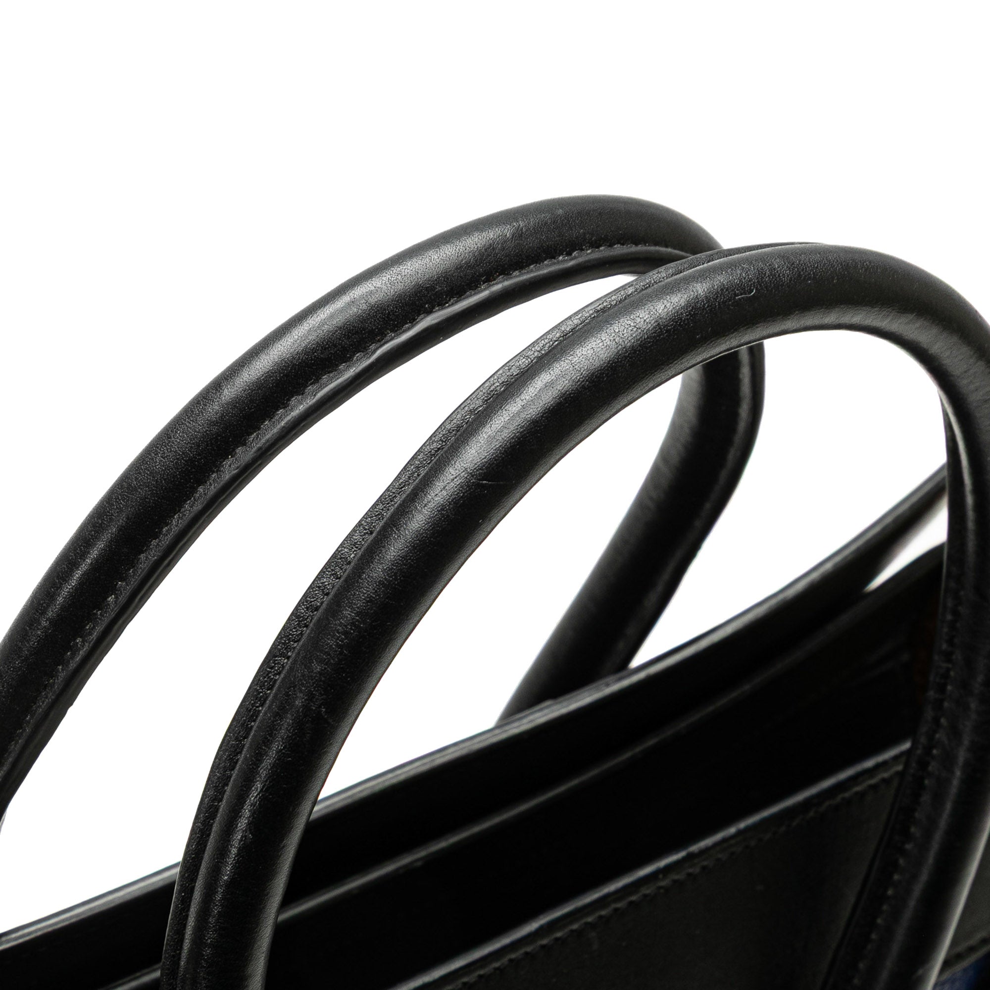 Micro Tricolor Leather Luggage Tote