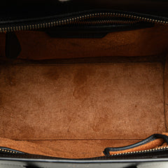 Micro Tricolor Leather Luggage Tote