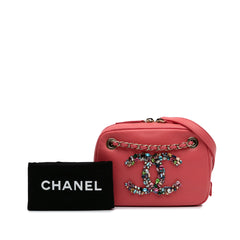 Lambskin Giant Crystal CC Camera Bag