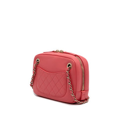 Lambskin Giant Crystal CC Camera Bag