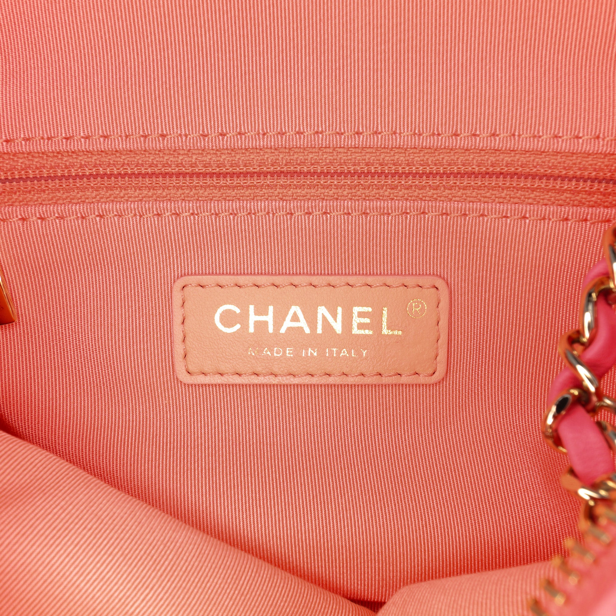 Lambskin Giant Crystal CC Camera Bag