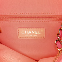 Lambskin Giant Crystal CC Camera Bag