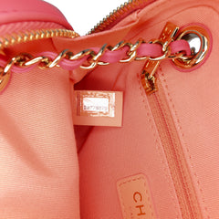 Lambskin Giant Crystal CC Camera Bag