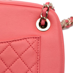 Lambskin Giant Crystal CC Camera Bag