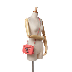 Lambskin Giant Crystal CC Camera Bag