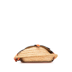 Mini Raffia Gate Crossbody