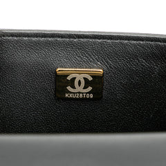 Mini Square Lambskin Resin Crystal Monacoco Flap