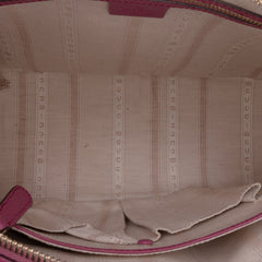 Dollar Calfskin Lady Dome Satchel