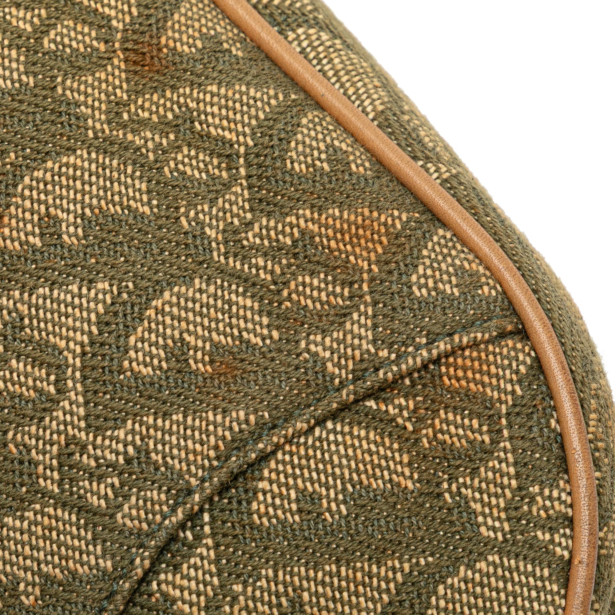 Mini Diorissimo Canvas Saddle Pochette
