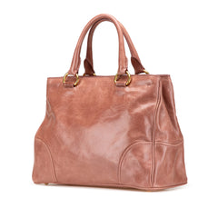 Vitello Shine Satchel