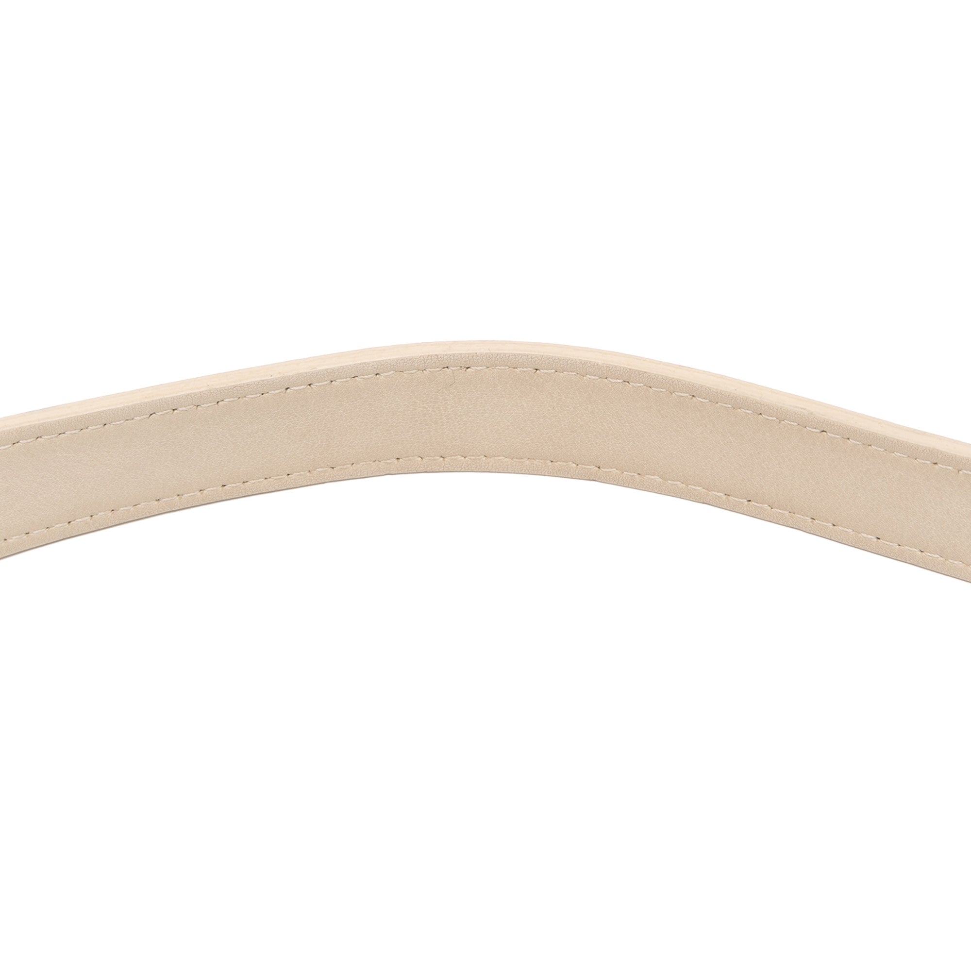 Ultra Matte Calfskin Saddle Bag