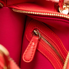 Medium Bicolor Lambskin Cannage Lady Dior