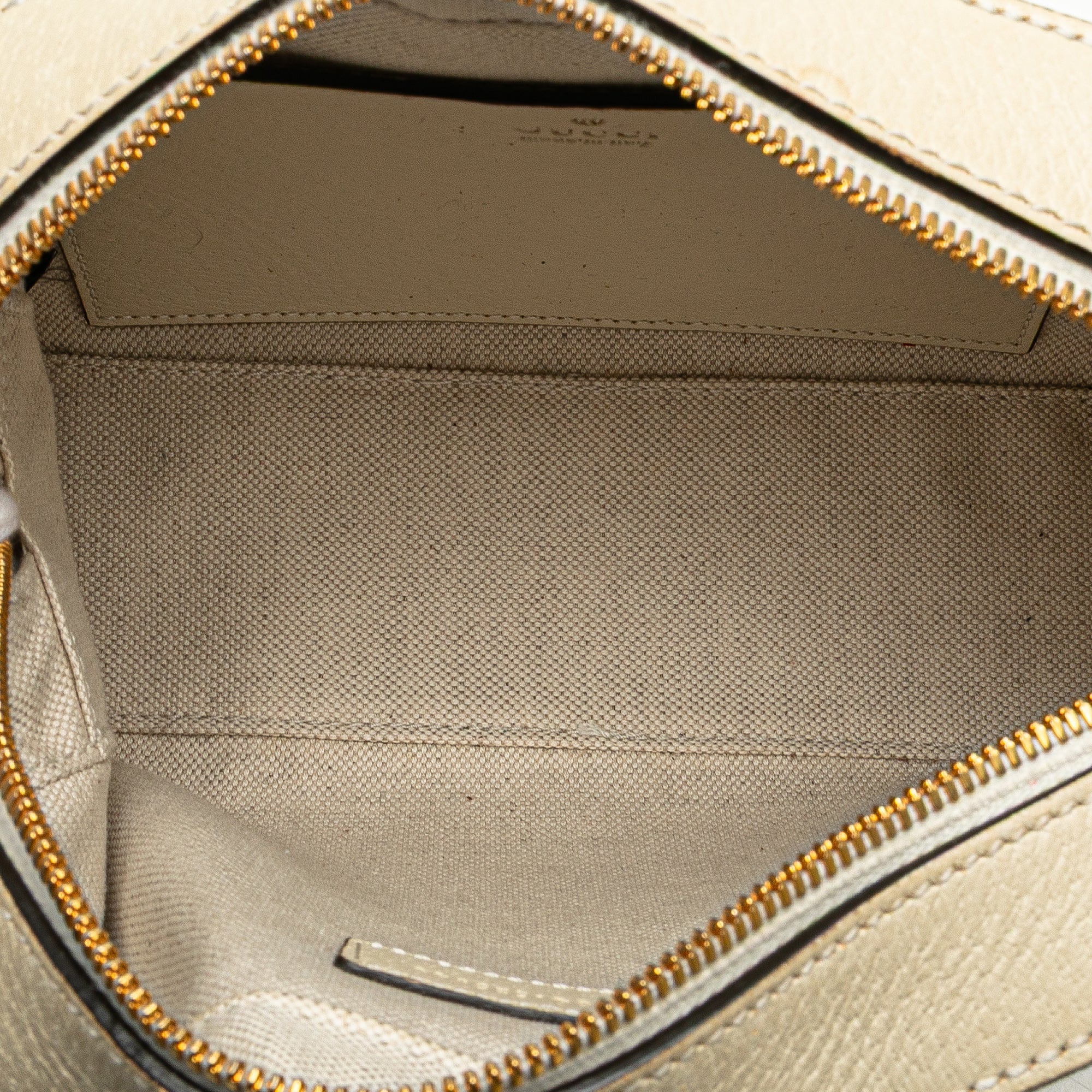 Small GG Supreme Textured Calfskin Web Ophidia Camera Bag