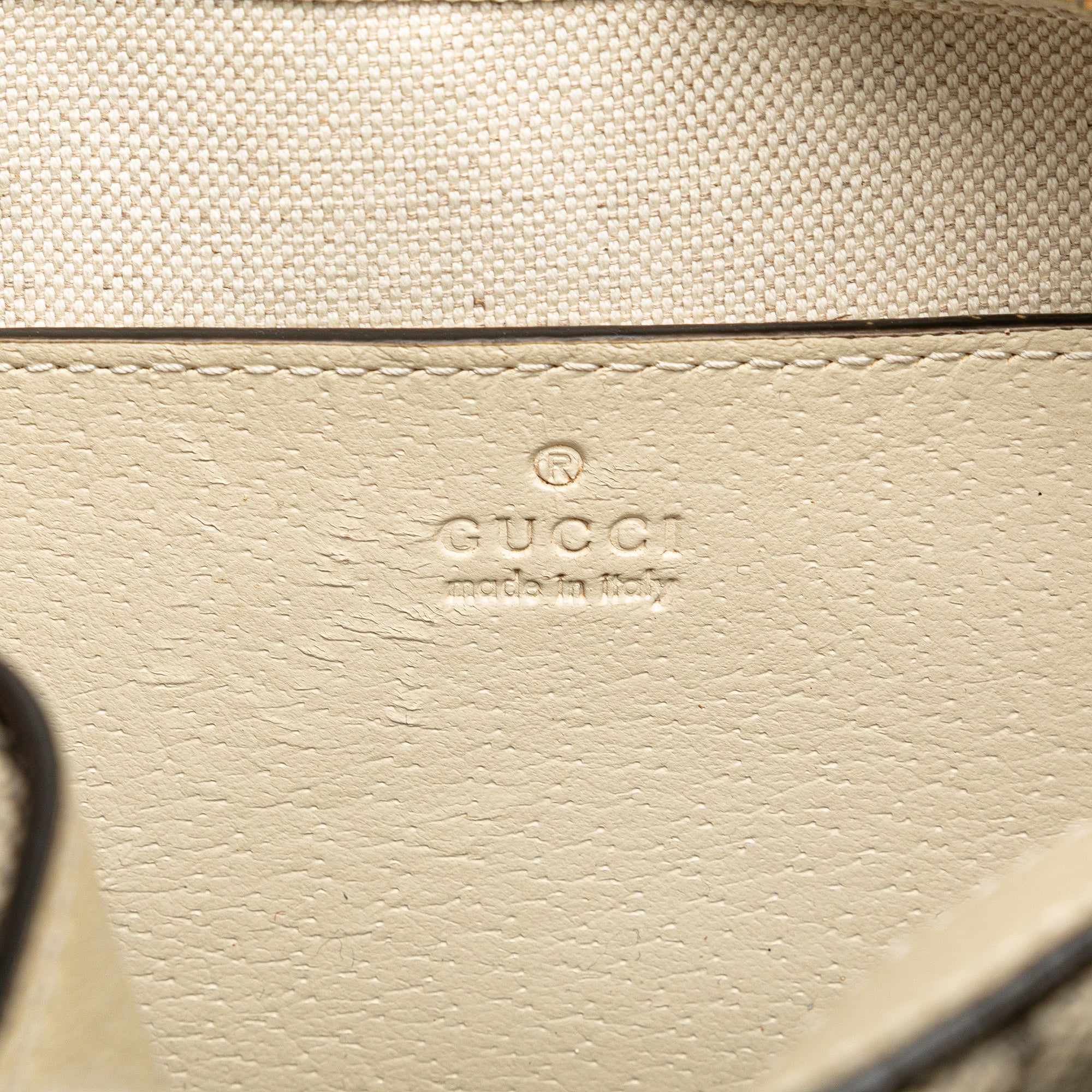 Small GG Supreme Textured Calfskin Web Ophidia Camera Bag