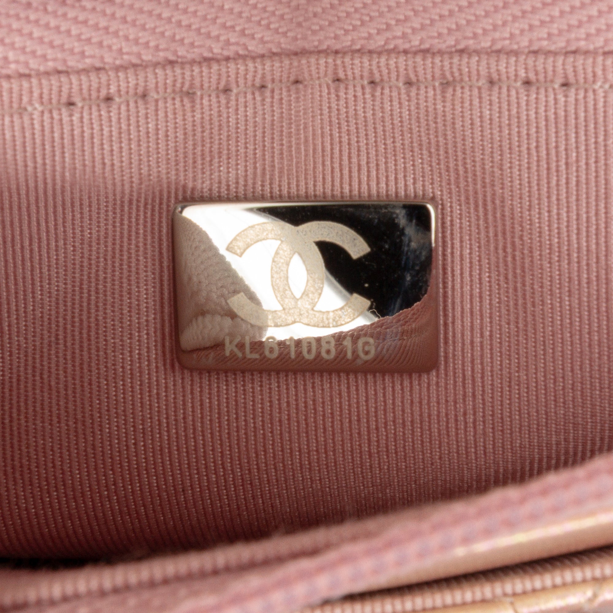 Quilted Iridescent Lambskin Wallet on Chain