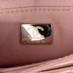 Quilted Iridescent Lambskin Wallet on Chain
