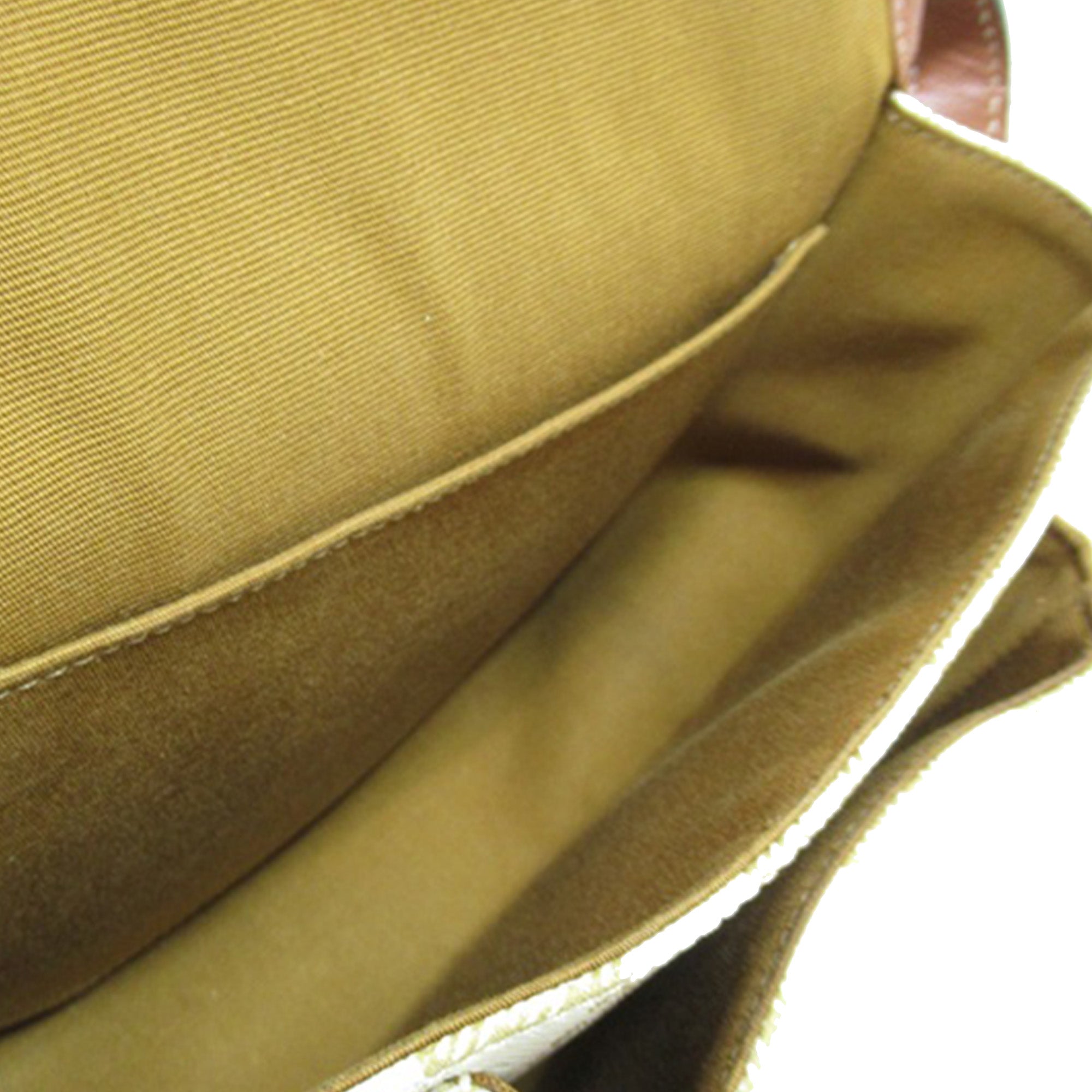 Medium Triomphe Coated Canvas Folco Crossbody