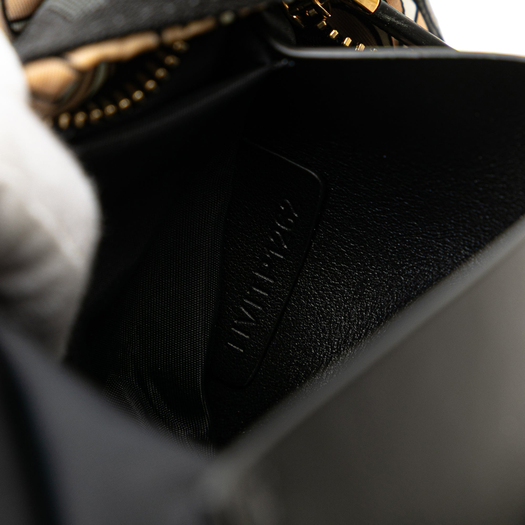 TB Monogram Nylon Sonny Belt Bag