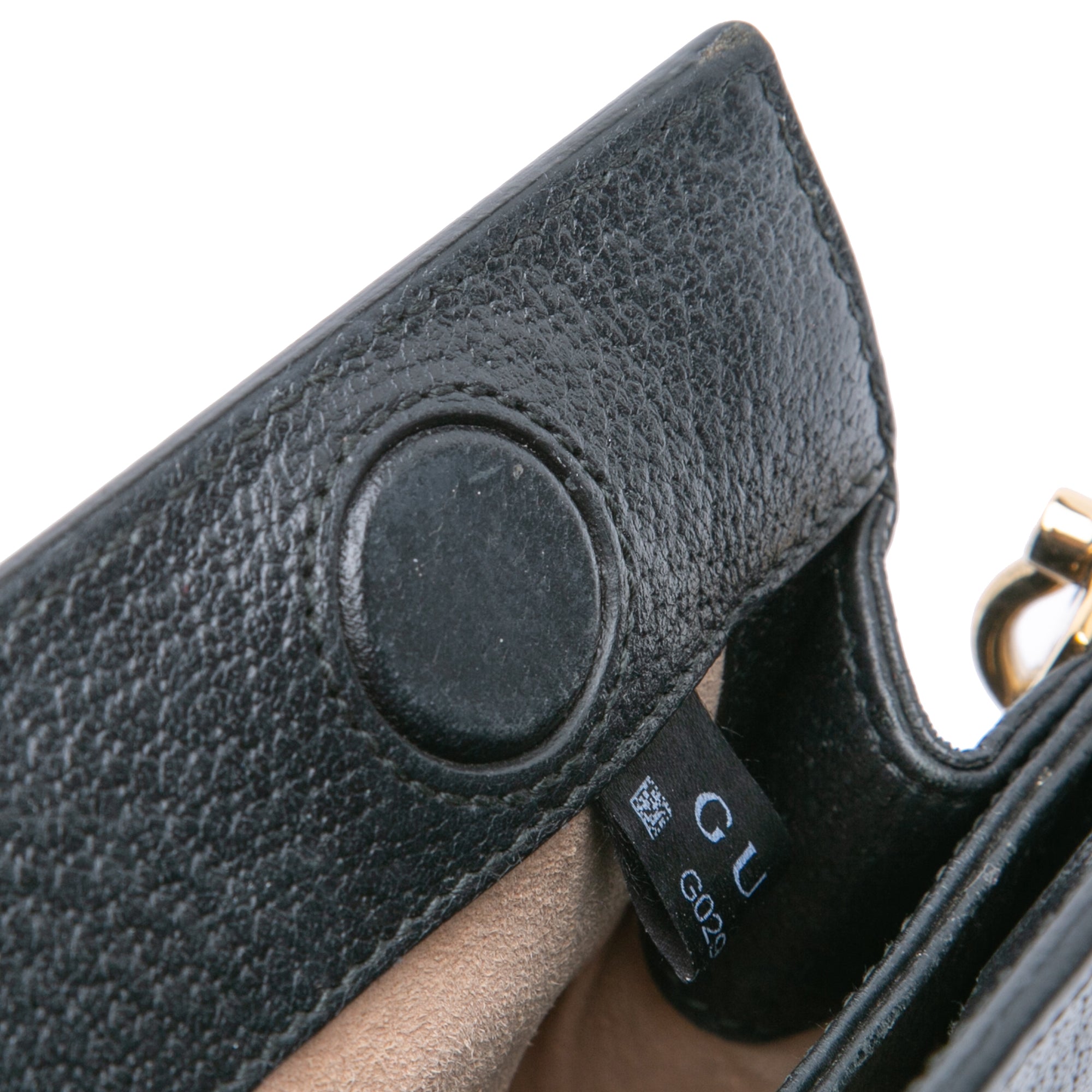 Small Calfskin Ophidia Chain Crossbody