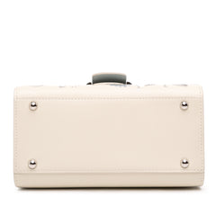 MIni Smooth Calfskin Brillant Blooming Crystalline Satchel